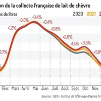 Production laitière caprine en hausse en 2022