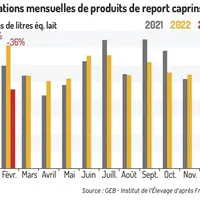 Importations mensuelles de produits de report caprins