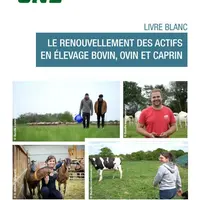 Le livre blanc sur le renouvellement des actifs en élevage bovin, ovin et caprin publié par la Confédération nationale de l’élevage met en avant 27 pr