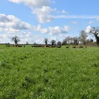 Le Salon de l’herbe et des fourrages revient cette année les 7 et 8 juin avec un programme de conférences autour de l’autonomie protéique, énergétique