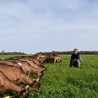 Pour de nombreux éleveurs, l’autonomie protéique est synonyme d’autonomie décisionnelle.