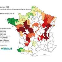 Carte des dates de récolte du maïs ensilage
