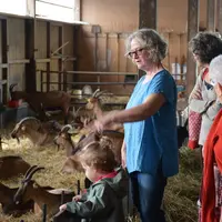 Enfants en visite dans une chèvrerie, éleveuse expliquant son métier, chèvres alpines.