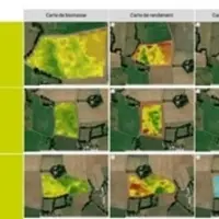 Pilote Maïs développé par Eilyps simplifie l’estimation du taux de matière sèche, de la date de récolte, du rendement et de la valorisation par le tro