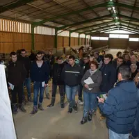 Visite d'élevage