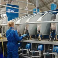Salle de traite chèvre