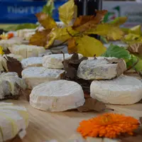 Fromage de chèvre mothais sur feuille