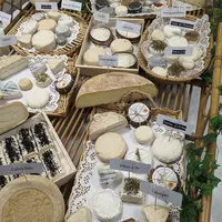 Fromages au lait cru