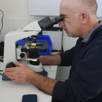 Vétérinaire réalisant une coprologie au microscope