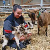 Eleveuse souriante, quatre chevrettes et une chèvre