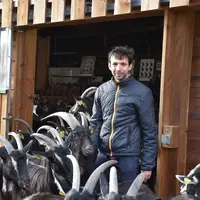 Émilien Retailleau et ses chèvres poitevines