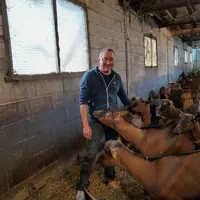 Un éleveur de chèvres, Ludovic Roy, avec ses chèvres alpines dans un bâtiment