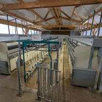 Salle de traite pour les chèvres