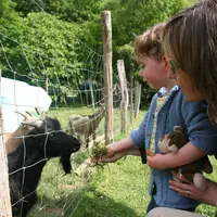 Enfant et chèvre