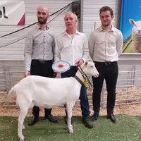 éleveurs présentant une chèvre saanen