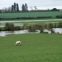 Prairie inondée