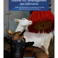 Améliorer le bien-être des chèvres via l’aménagement des bâtiments