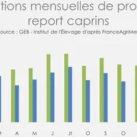 Importations mensuelles de produits de report caprins