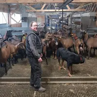 Mathilde Kippert au milieu des chèvres et des boucs
