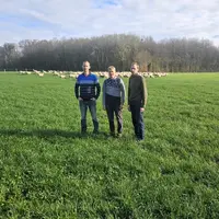 Trois éleveurs dans une prairie devant des moutons