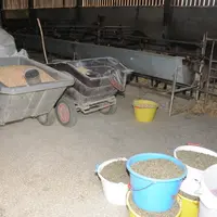 Brouettes distributrices dans un élevage de chèvres