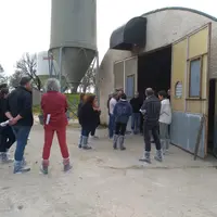 Visite de l'élevage de chèvre