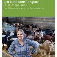 Les lactations longues en élevage caprin