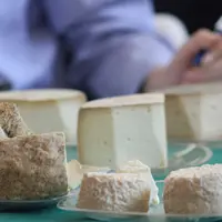 Fromages fermiers de Bourgogne en dégustation