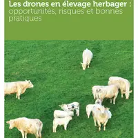 Une de Les drones en élevage herbager : opportunités, risques et bonnes pratiques