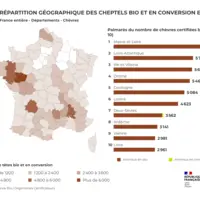 Répartition géographique des cheptels caprins bio et en conversion en 2023