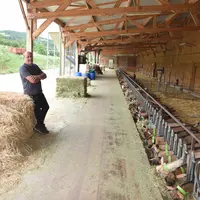 Laurent Poulet dans sa chèvrerie ouverte