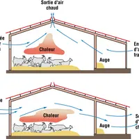 Effet cheminée et effet vent dans les bâtiment d'élevage