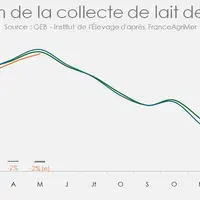 Evolution de la collecte de lait de chèvre