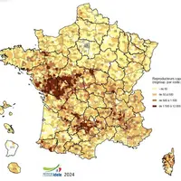 Carte de France des reproducteurs caprins au 1er janvier 2024
