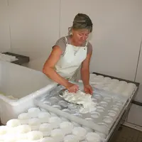 Moulage de fromages fermiers avec un multimoule