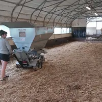 Paillage d'un bâtiment caprin avec une pailleuse à moteur