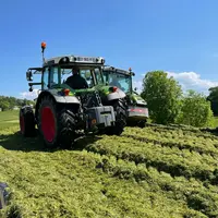 Tassage du silo d'ensilage