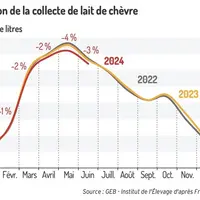 Evolution de la collecte de lait de chèvre
