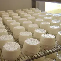 Fromages de chèvre sur grille