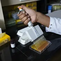 Test Elisa