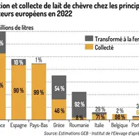 Production et collecte de lait de chèvre chez les principaux producteurs européens en 2022