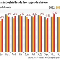 Fabrications industrielles de fromages de chèvre