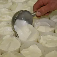 Moulage de fromage lactique
