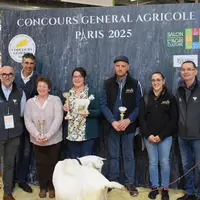 Les élevages caprins récompensés par le prix du trophée Gènes avenir en saanen