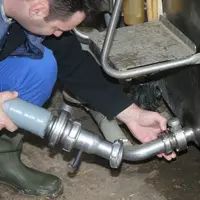 Collecte du lait au pied du tank à lait