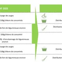 <em class="placeholder">La distribution des aliments Valérie et Joël Norais avant et après 2023</em>