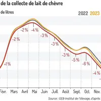 Collecte de lait de chèvre en France - L’année 2024 en baisse de 3,2 %