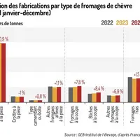 Evolution des fabrications par type de fromages de chèvre (cumul janvier-décembre) - 98 000 tonnes fabriquées en 2024