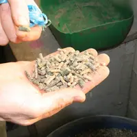 Aliments pour le bétail