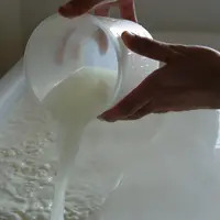 emprésurage du lait